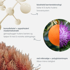 Dynamic skin strengthening serum 30 ML Serum