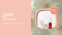 Jane Iredale The Handi Brush Kosmetikk